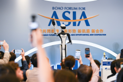 机械人需小我或组织